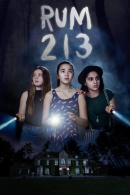 Постер Кімната 213