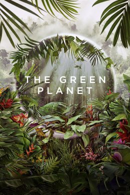 Постер Зелена планета