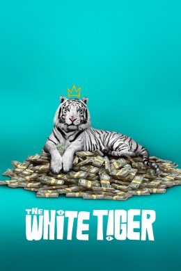 Постер Білий тигр