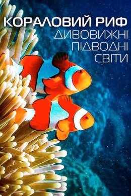 Постер Кораловий риф: Дивовижні підводні світи