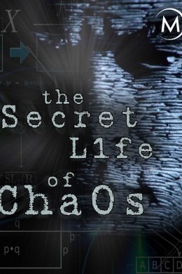 Постер Таємне життя хаосу